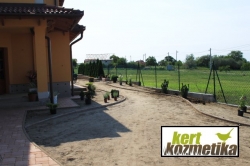 Növényültetés megkezdése (12)